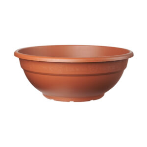 bonsai pot 17